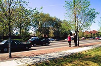View in 2000 -- Click for enlargement