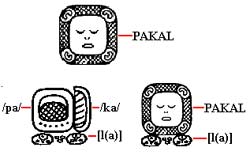 The Maya writing system