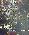 Rittenhouse District 08 Rittenhouse District 08