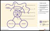 Themes Diagram