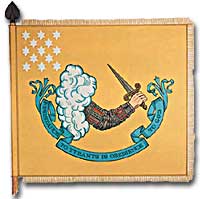 Revolutionary War flag