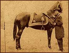 Ulysses Grant with his horse