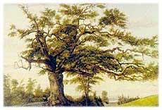 The Charter Oak