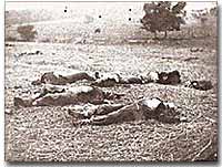 Dead Union soldiers