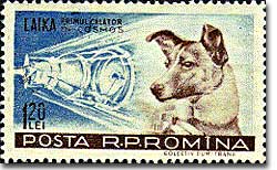 Laika