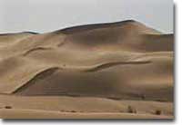 Sand dunes in Algeria