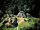 The ruins of Palenque