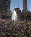 Ben Franklin Parkway 11