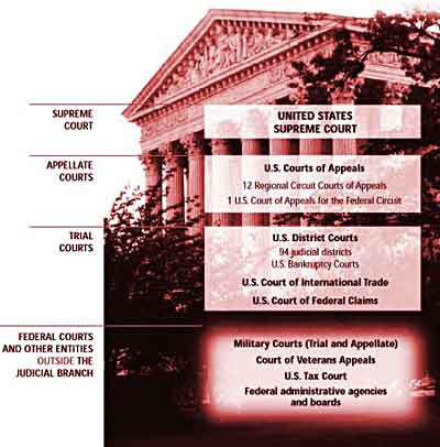 Us Federal Court System Chart