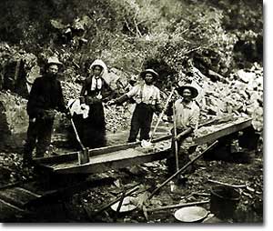 Tales of the Flowers: The Flowers Explore - Gold Mining in Colorado