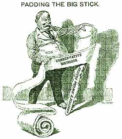 Taft cartoon