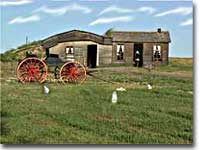 Prairie homestead