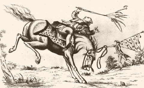 Horse throwing rider